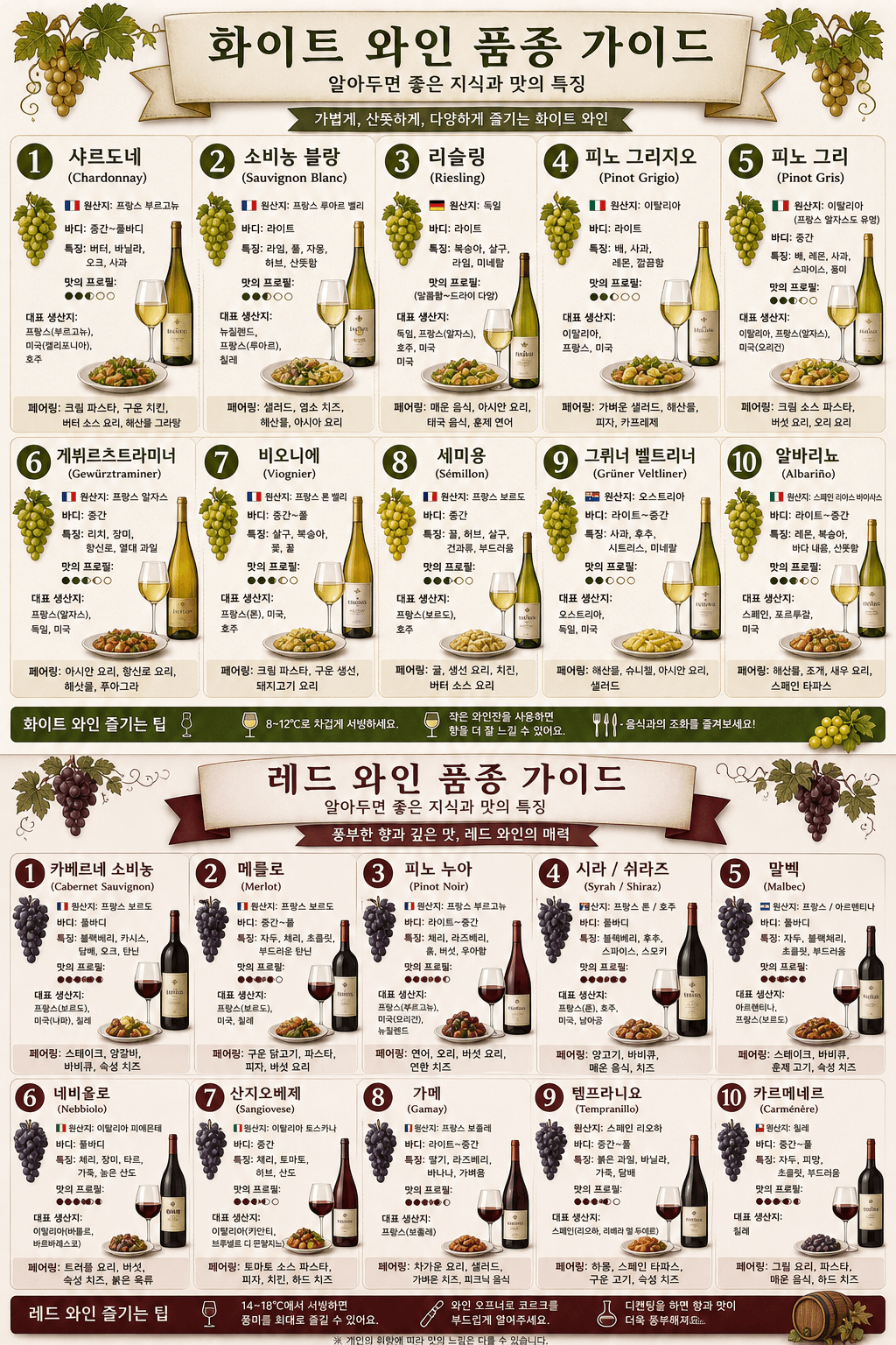 와인 품종별 가이드